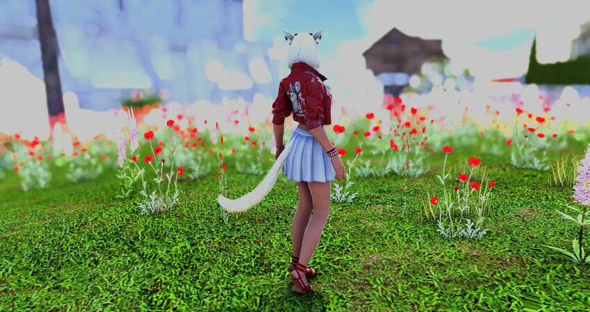 Sea of flowers Sea of flowers